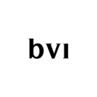 BRI Ventures